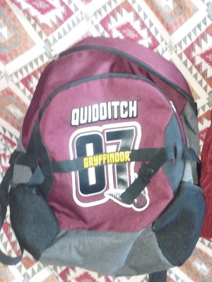 Σακίδιο Harry Potter Gryffindor αθλητικό