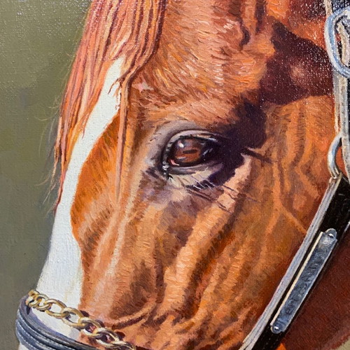 Oil painting on canvas used 50x70