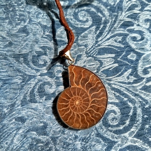 Ammonite pendant new with metal frame and leather cord