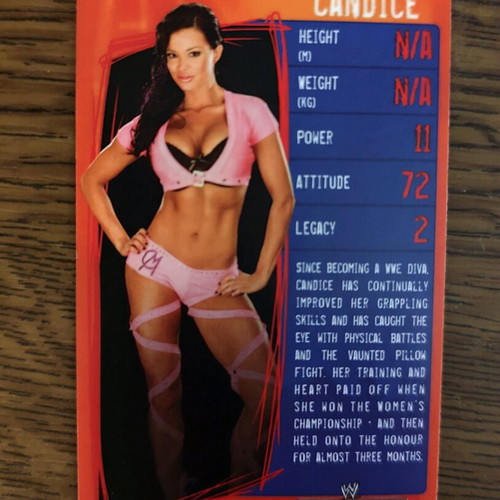 WWE cards collectible pack of 30 like new, 2009 edition