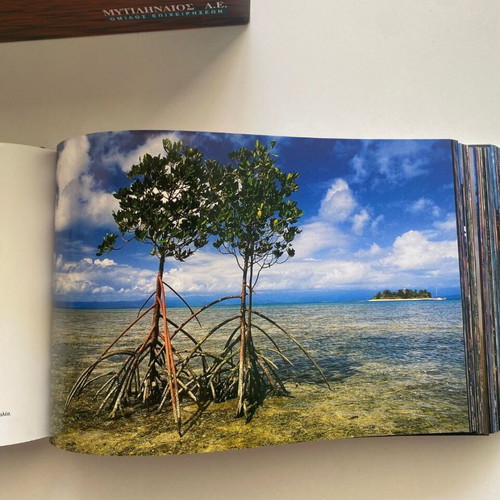 365 Gestures to Save the Planet Collectible Book like new
