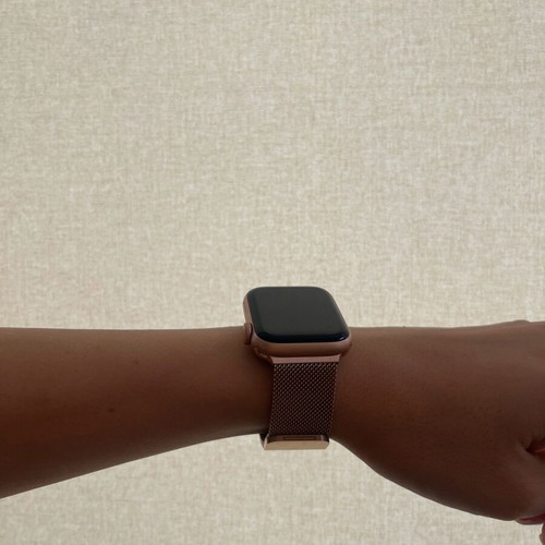 Silver Apple Watch Strap new Tech Protect