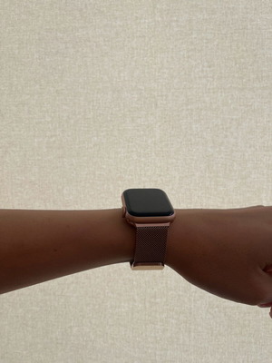 Silver Apple Watch Strap new Tech Protect