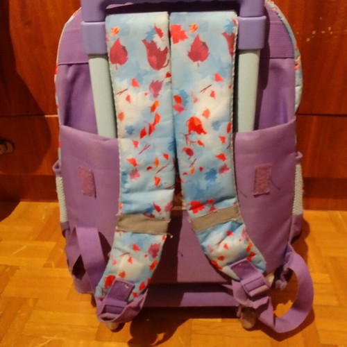 Frozen school bag with trolley wheels used