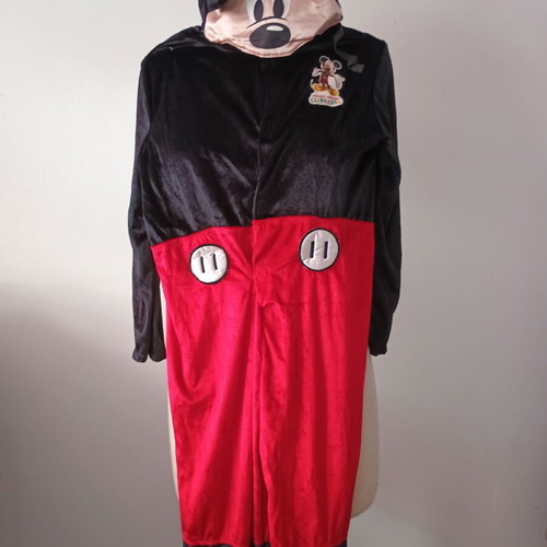 Mickey Mouse Disney costume used