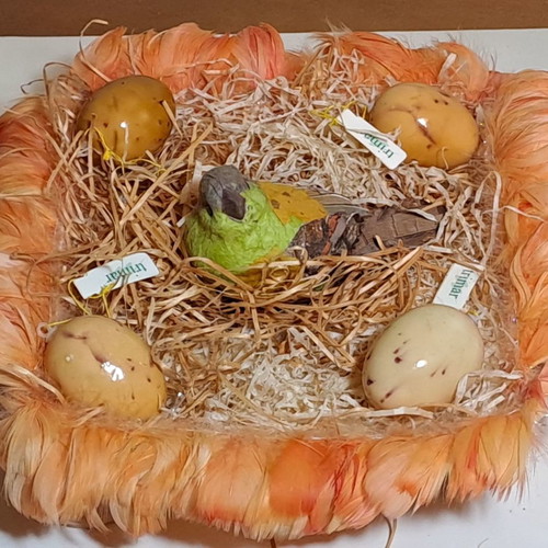 Easter decorative basket new with eggs and hen