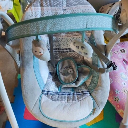 Ingenuity Power Adapt Portable Swing like new