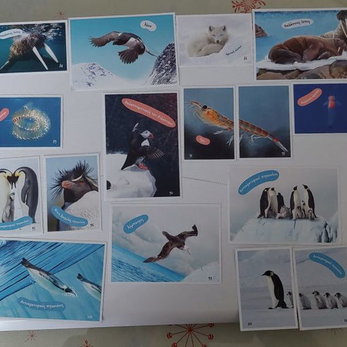 Vasilopoulos Stickers Explore the Ocean New Collection 1-102 with 5 Tattoos