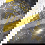  Άλμπουμ ΑΕΚ Yellow and Black