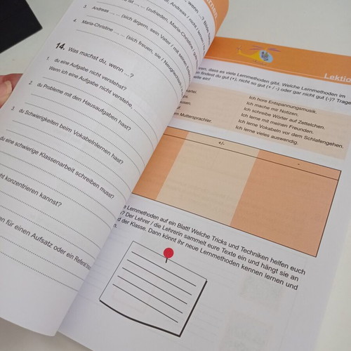 German Workbook B General Lyceum used