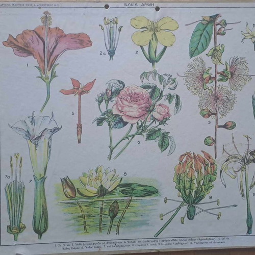 Vintage school poster Ateli Anthi used, hardboard