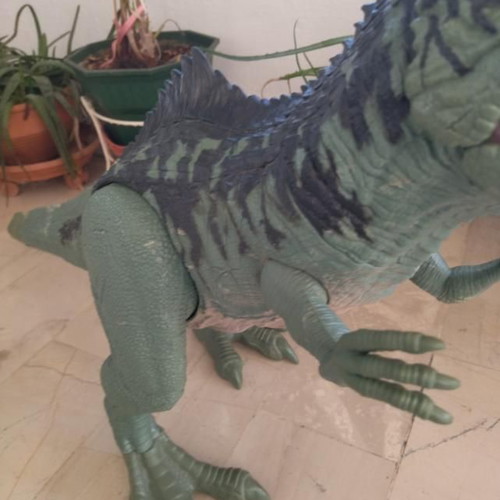 Jurassic World Mattel Dinosaur Figures used, 1 meter Tyrannosaurus and Gigantosaurus