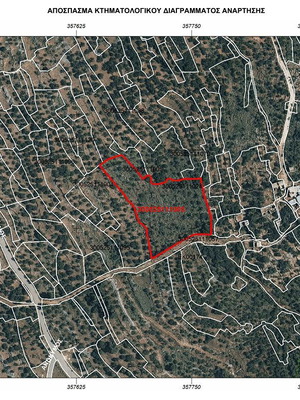 Αγροτεμάχιο με 124 ελαιόδεντρα, 6.000 τ.μ. στη Δρύαλο, Ανατολική Μάνη
