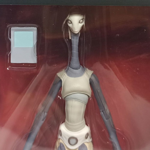 Star Wars Taun We 6" Black Series action figure new