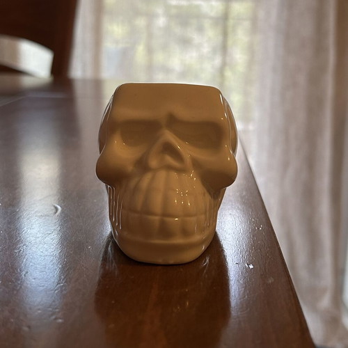 Ceramic Skull Planter like new for small plants