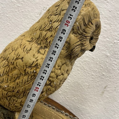Old Dutch owl used, nocturnal bird