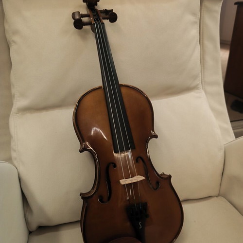 Stendor Student 1 violin with case, bow, bridge and music stand