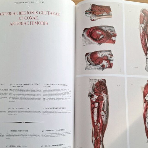 Atlas of Human Anatomy and Surgery TASCHEN like new