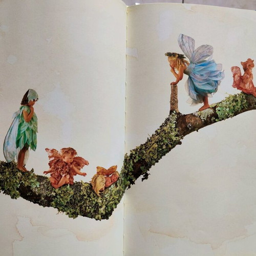 The Garden Treasures Anne Geddes book like new