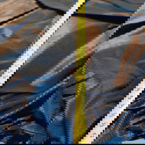 Max Mara draped silk skirt M new, brown