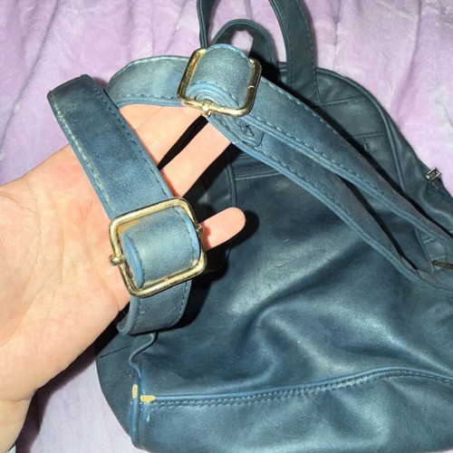 Blue backpack used with minor marks
