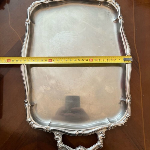 Stainless Steel Tray used