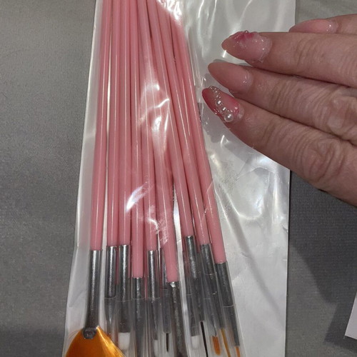 Nail art set with 14 brushes and 5 dotting tools