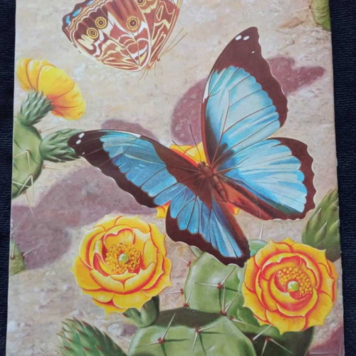 Vintage Walter T. Foster Exotic Butterflies and Moths book used