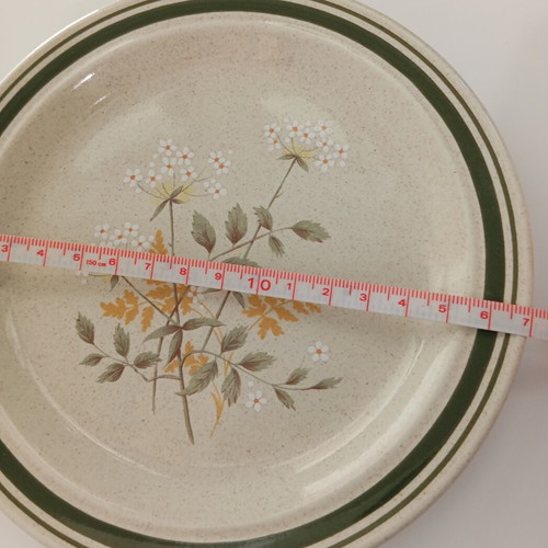 Royal Doulton Will O'The Wisp vintage plates set of 2, 17cm