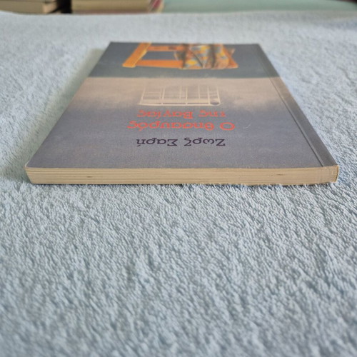 O thisavros tis Vagias youth novel by Zorz Sari