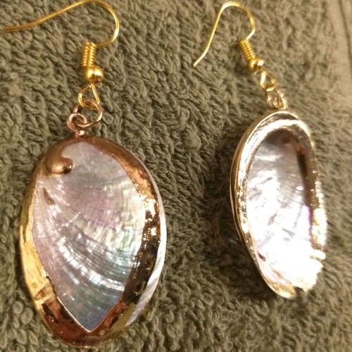 Abalone shell earrings