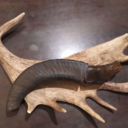 Cretan knife like new with water buffalo horn sheath