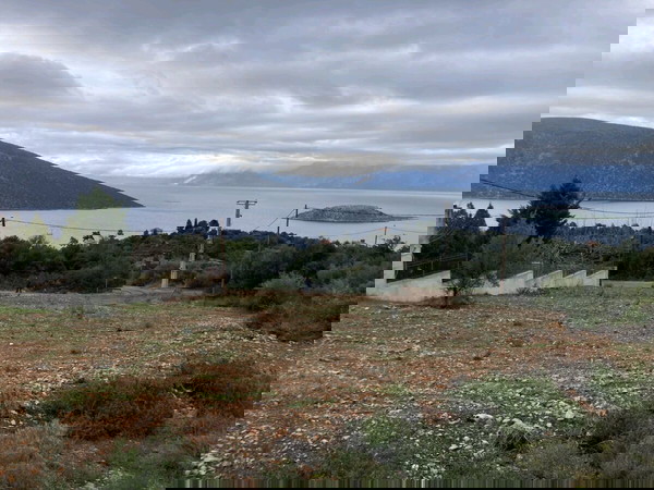 ΟΙΚΟΠΕΔΟ ΑΡΤΙΟ ΚΑΙ ΟΙΚΟΔΟΜΗΣΙΜΟ ΣΤΑ ΣΚΡΟΠΟΝΕΡΙΑ ΤΟΥ ΔΗΜΟΥ ΑΝΘΗΔΩΝΟΣ(ΛΟΥΚΙΣΣΙΑ)