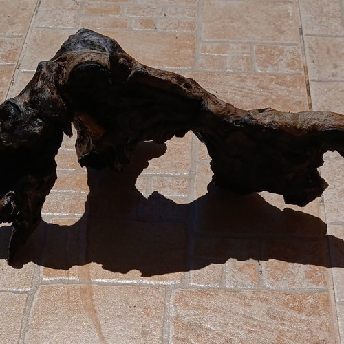 Aquarium wood decorative, used