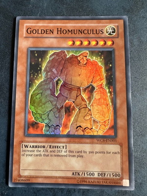 Golden homunculus