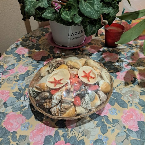 Basket with real seashells new for summer decoration