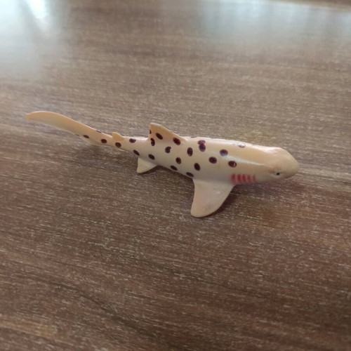 Atelimycterus marmoratus - Coral catshark figure used 11cm