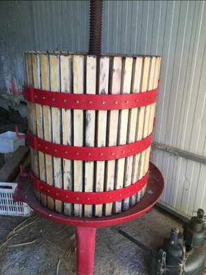 Marinetto Davide hydraulic grape press like new, Italian