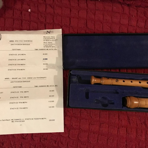 Ariel recorder used from rosewood with free book