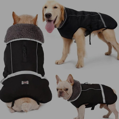 DogLemi warm winter dog coat new, waterproof and windproof