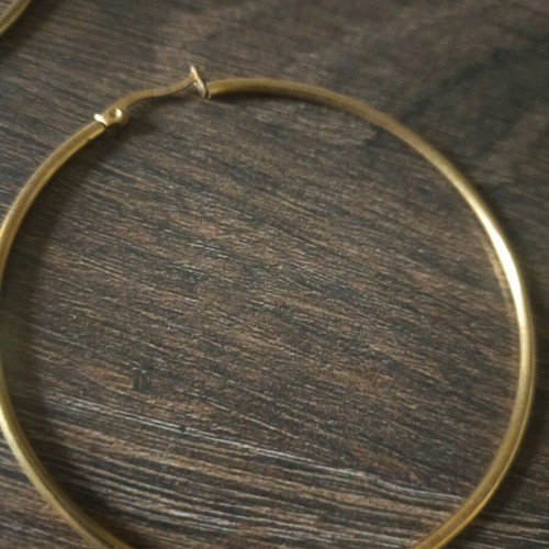 Earrings circle used