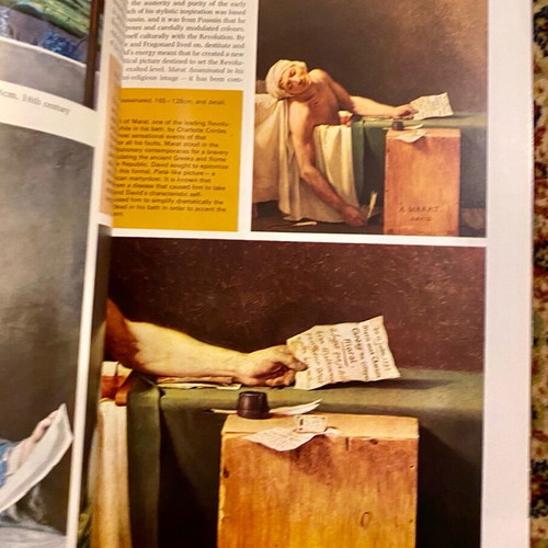 French Painting book used, English