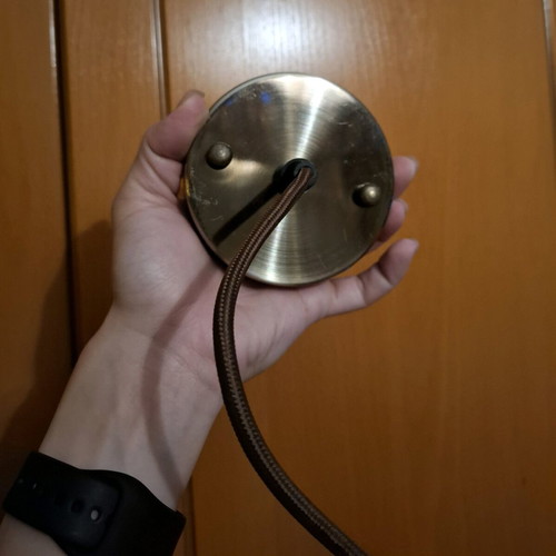 Ceiling Light new