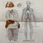 Collectible engraving used