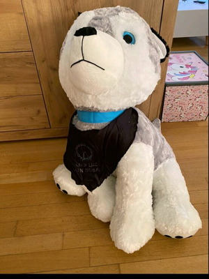 Plush dog toy