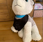 Plush dog toy