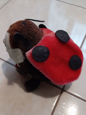 Children's plush ladybug toy used
