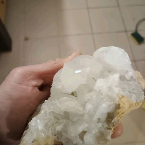 Cactus quartz new
