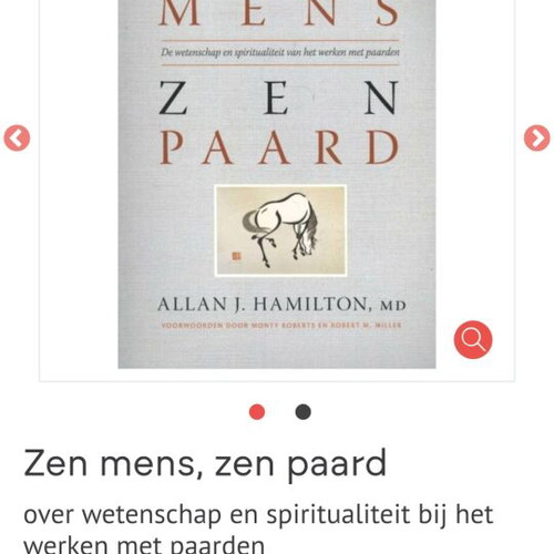 Zen Mens Zen Paard by Allan J. Hamilton like new, Dutch