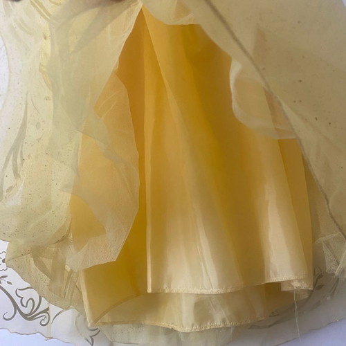 Snow White Costume from Disneyland worn once